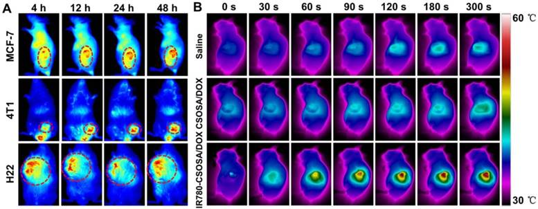 Theranostics Image