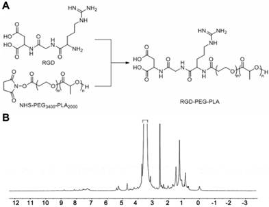 Enhanced Therapeutic Effect of RGD-Modified Polymeric Micelles Loaded ...