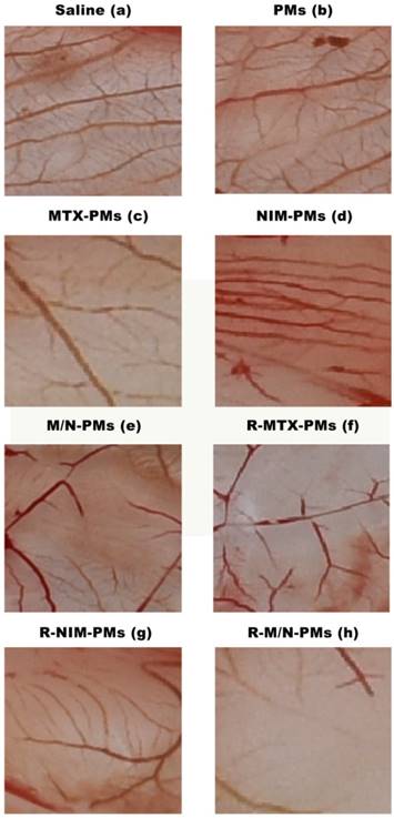 Theranostics Image