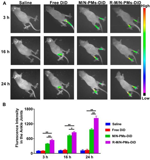 Theranostics Image