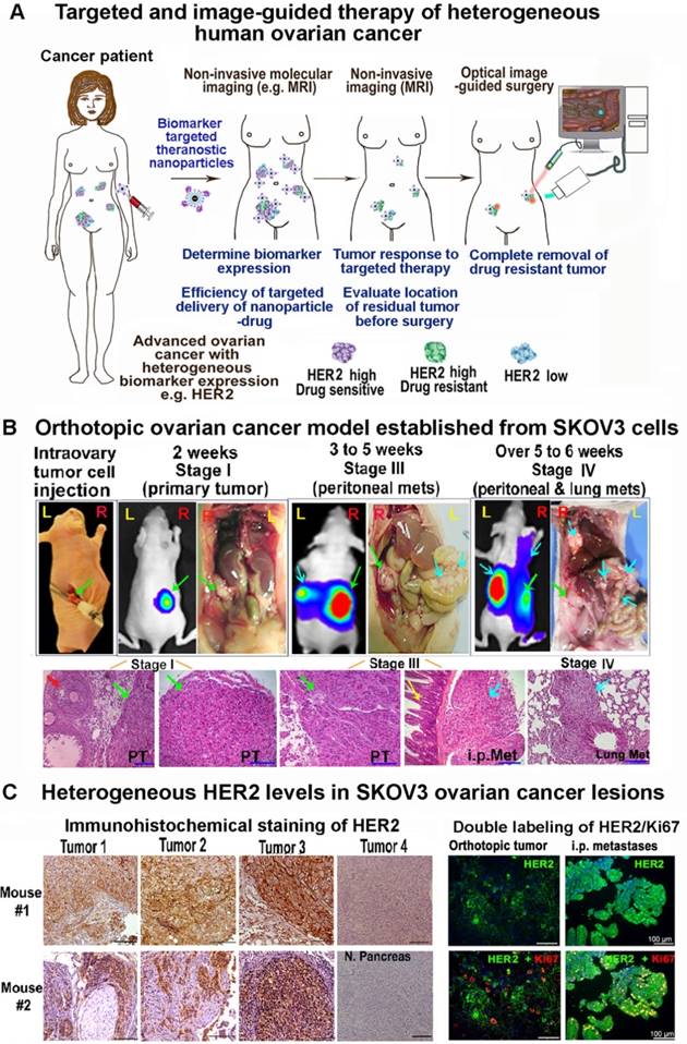 Theranostics Image