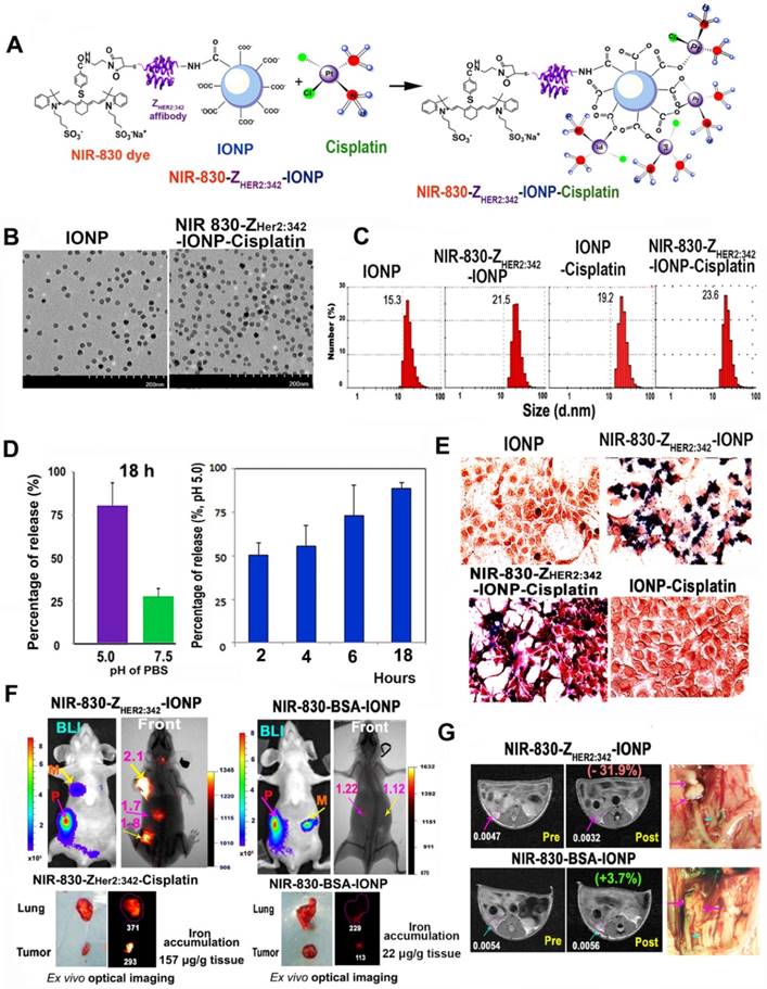 Theranostics Image