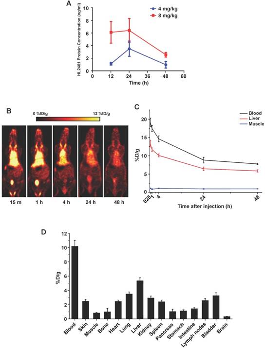 Theranostics Image