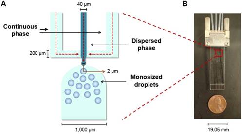 Theranostics Image