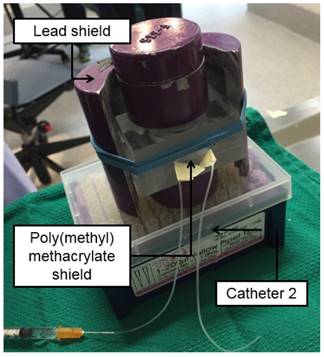 Theranostics Image