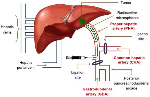 Theranostics Image