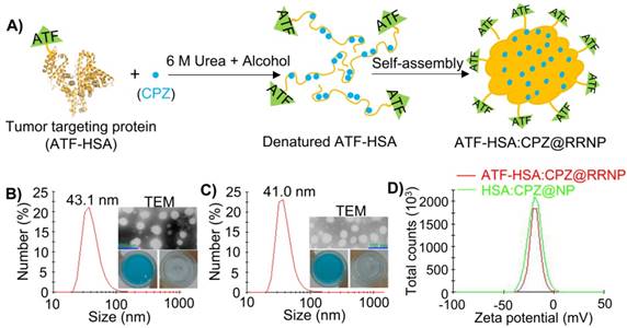 Theranostics Image