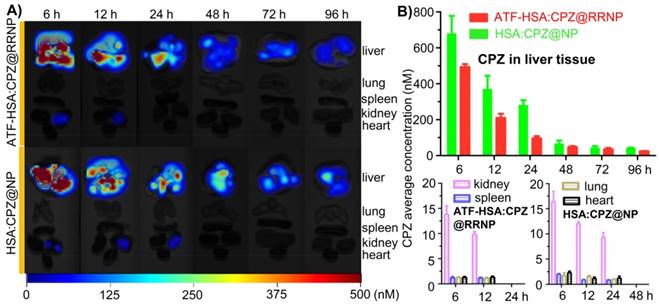 Theranostics Image