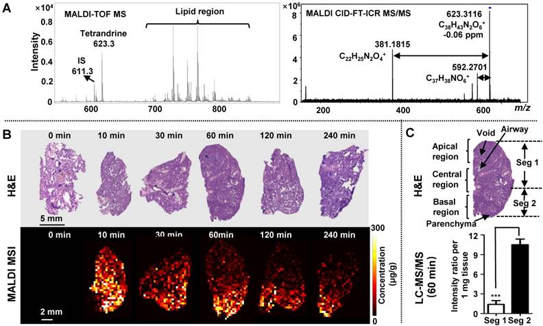 Theranostics Image