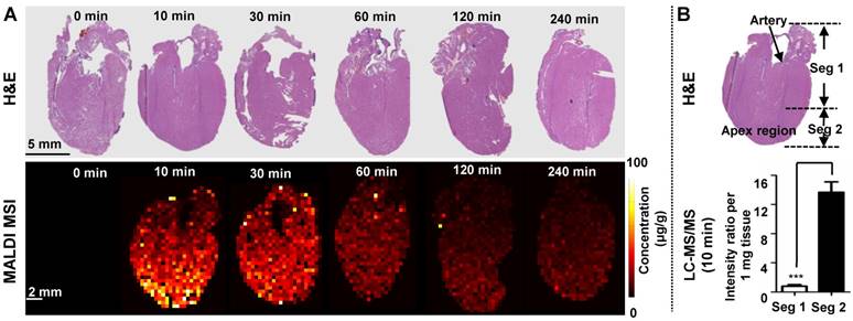 Theranostics Image