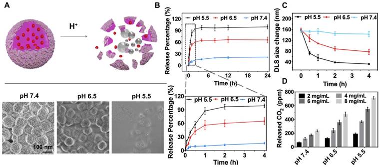 Theranostics Image