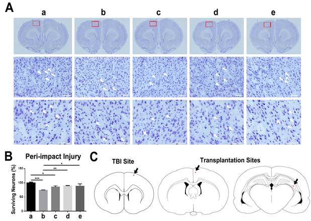 Theranostics Image