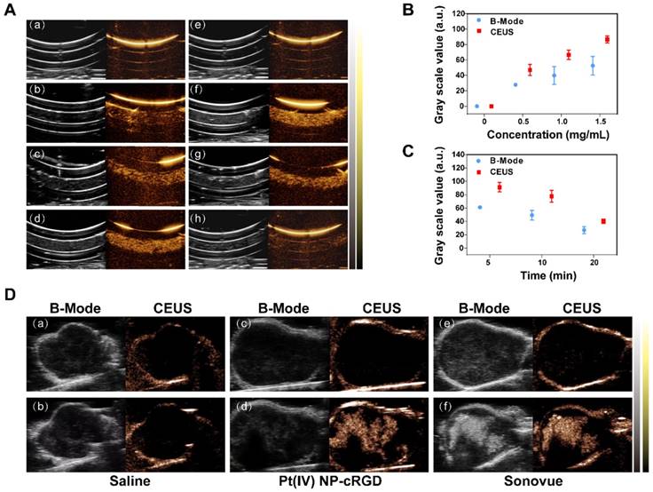 Theranostics Image