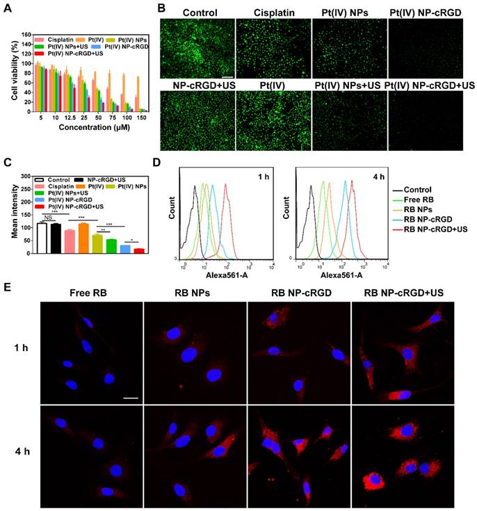 Theranostics Image