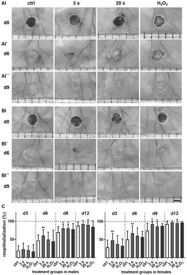 Theranostics Image