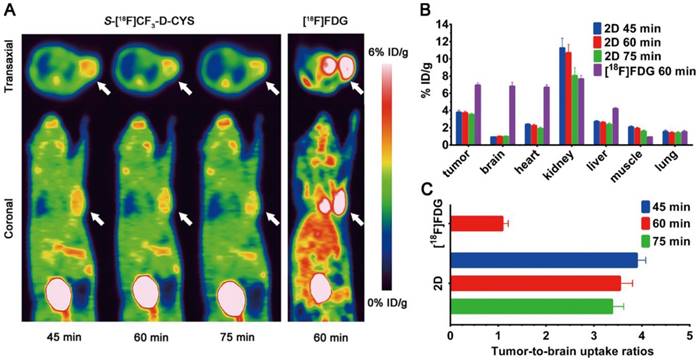 Theranostics Image