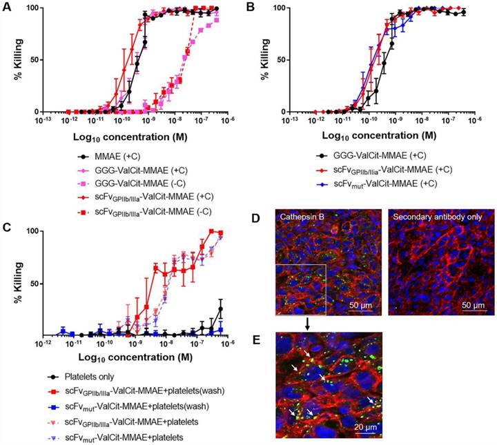 Theranostics Image