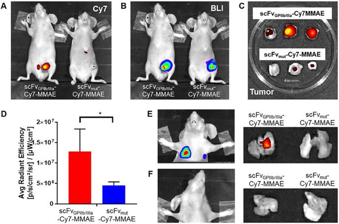 Theranostics Image