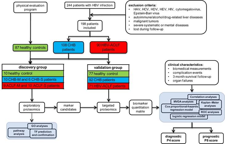 Theranostics Image