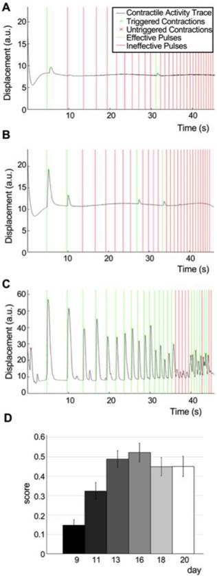 Theranostics Image