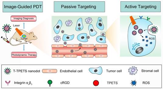 Theranostics Image