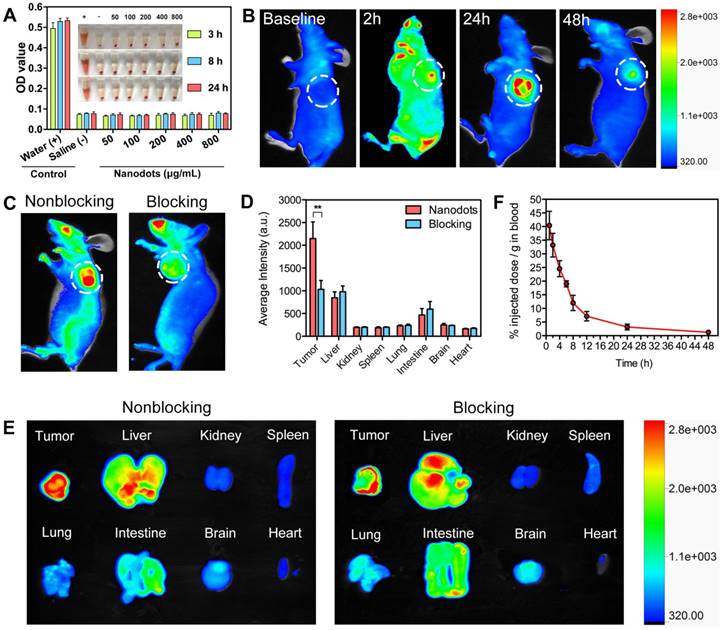 Theranostics Image