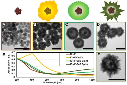 Theranostics Image