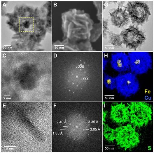 Theranostics Image