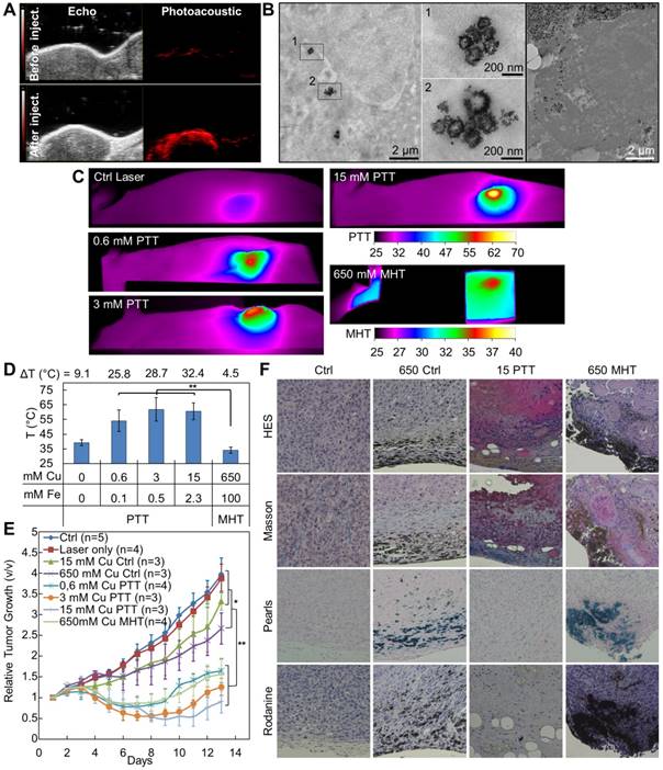 Theranostics Image