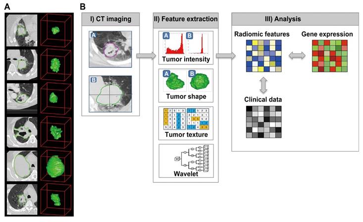 Theranostics Image