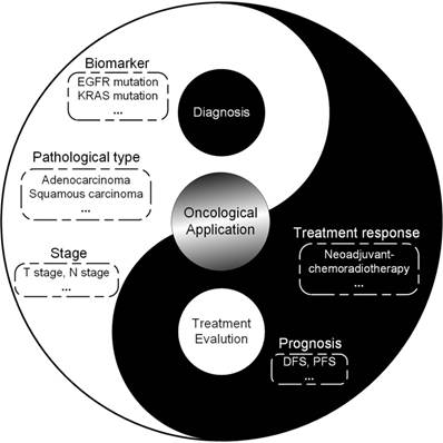 Theranostics Image