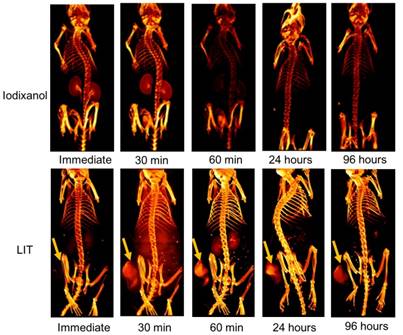 Theranostics Image