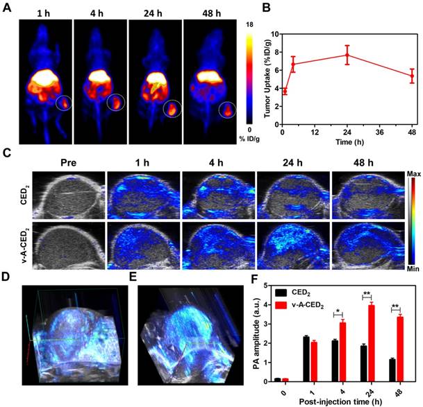 Theranostics Image