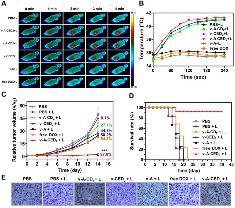 Theranostics Image