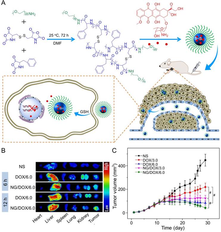 Theranostics Image