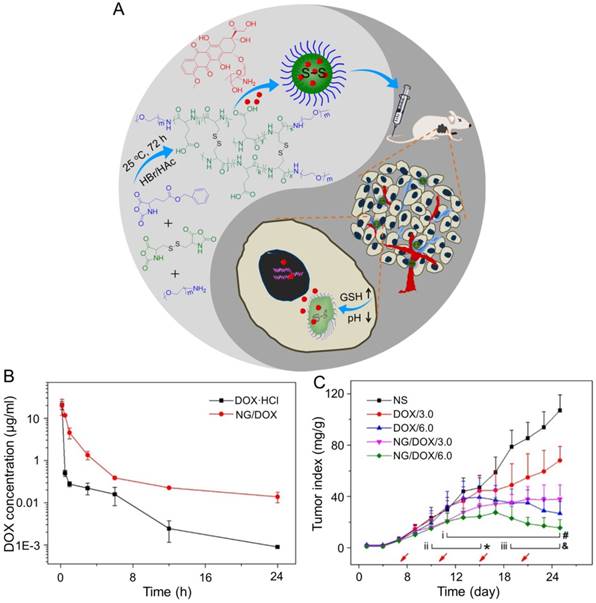 Theranostics Image