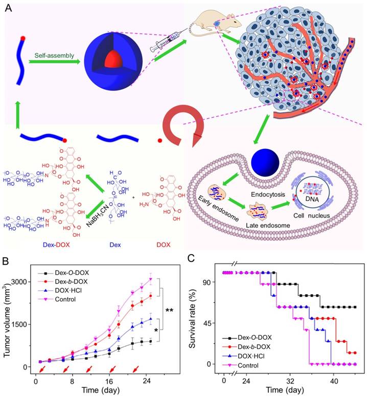 Theranostics Image