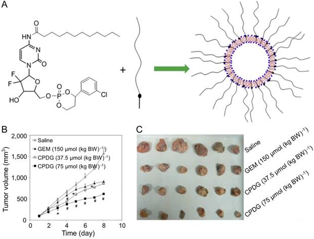 Theranostics Image