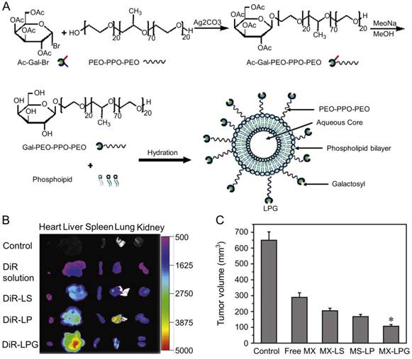 Theranostics Image