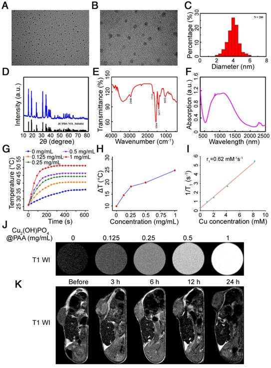 Theranostics Image