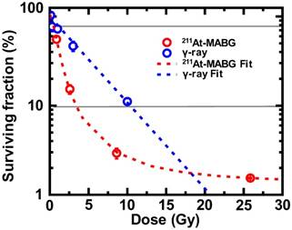 Theranostics Image