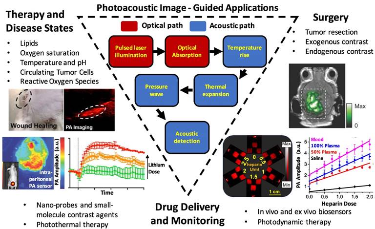 Theranostics Image