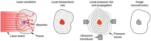 Theranostics Image