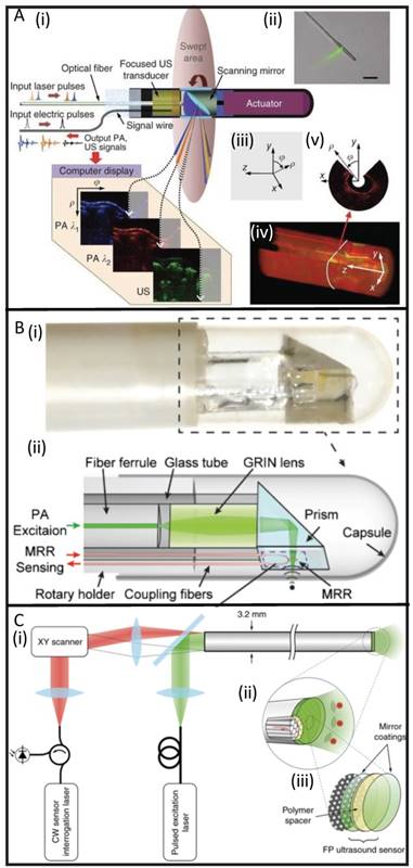 Theranostics Image