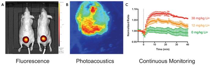 Theranostics Image