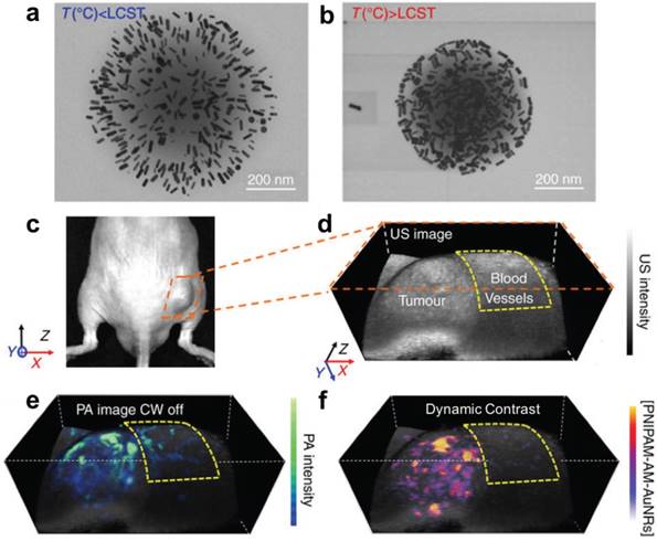 Theranostics Image