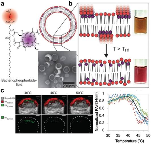 Theranostics Image