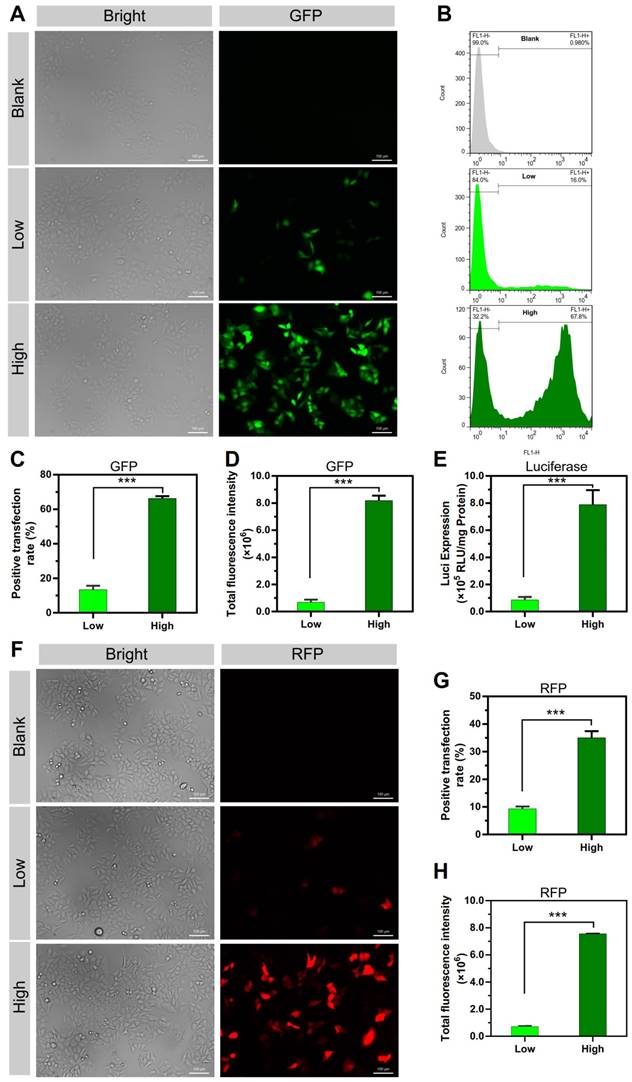 Theranostics Image