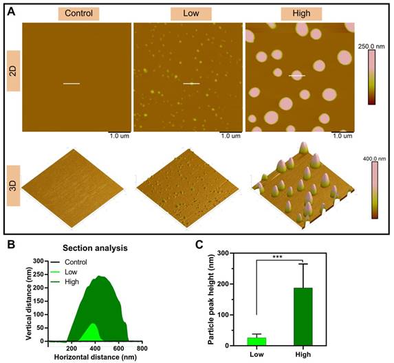 Theranostics Image