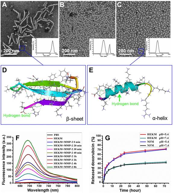 Theranostics Image